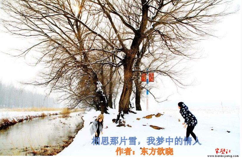 d4504fba0e8c453c875bfb652a6f6f05.png
