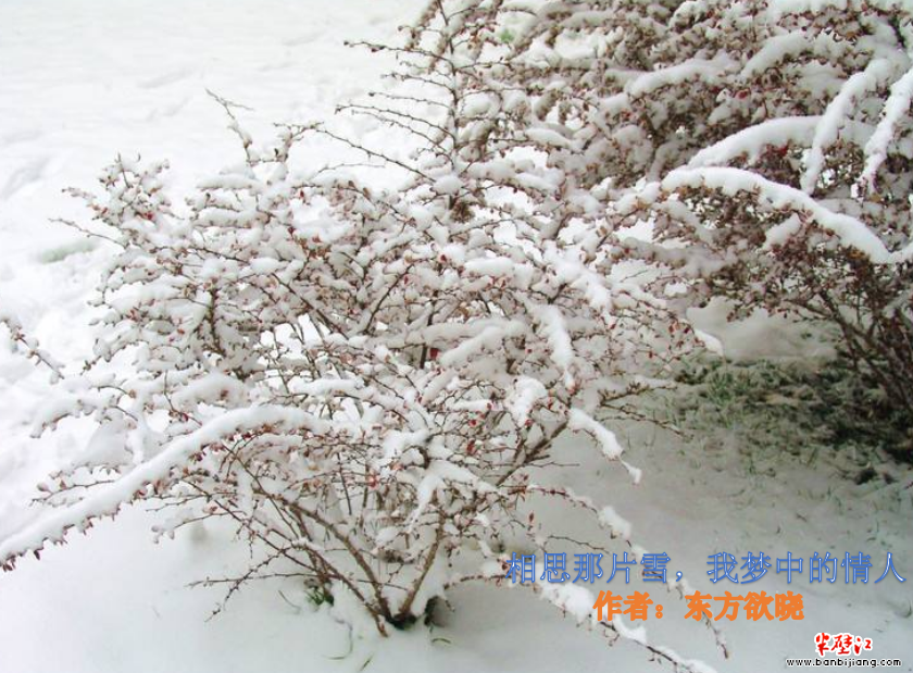 e090ab84fffc4a838cde51266cc09154.png