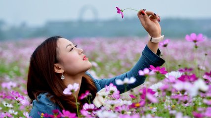 һ㷢ϲõ
